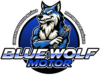 BlueWolfMotor